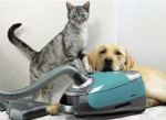 a silver tabby stands on a robin egg blue floor vacuum while a yellow lab rests his head on the vacuum